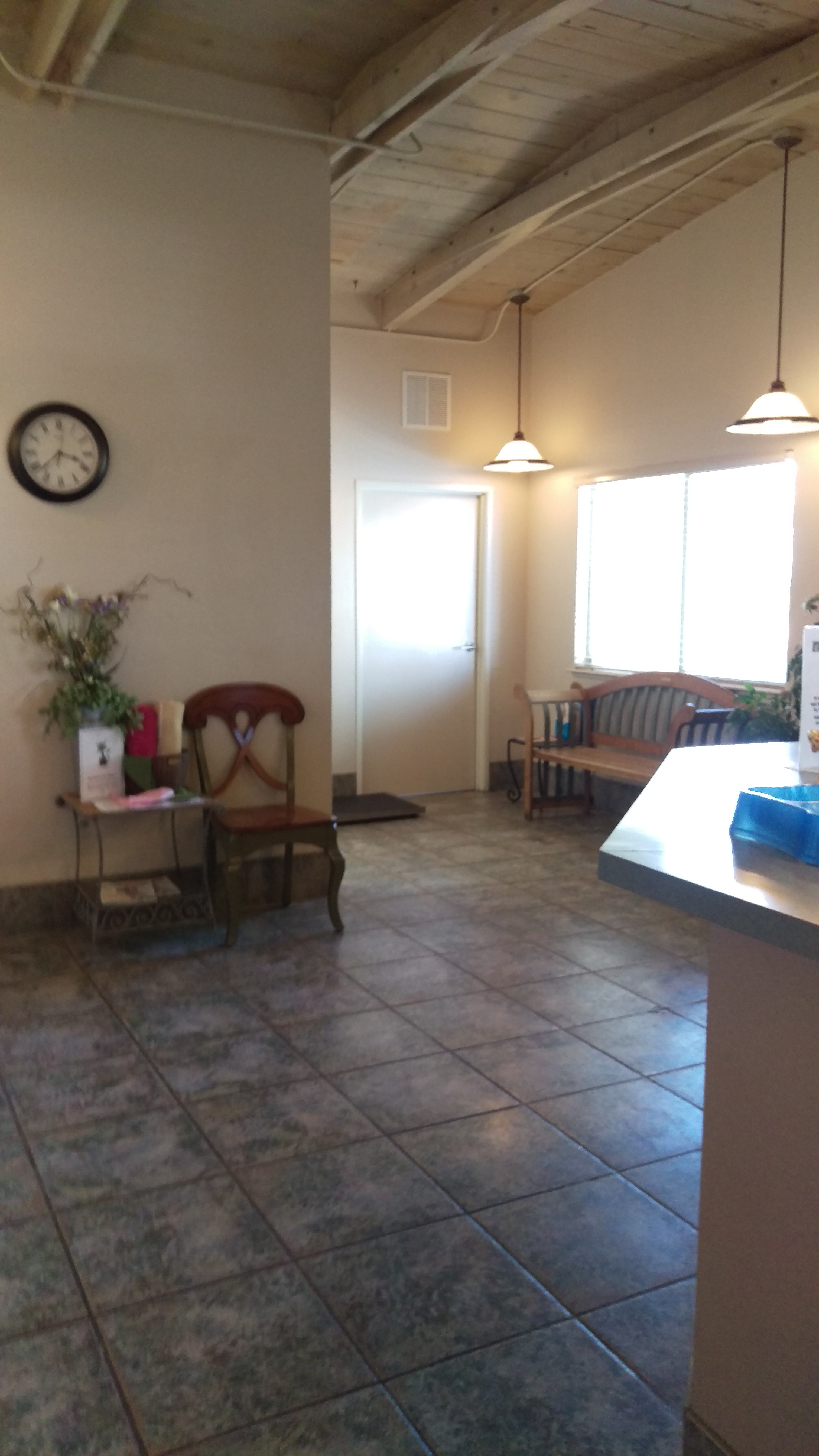 Veterinarian Pinion Veterinary Hospital Veterinarians Reno, NV 89511